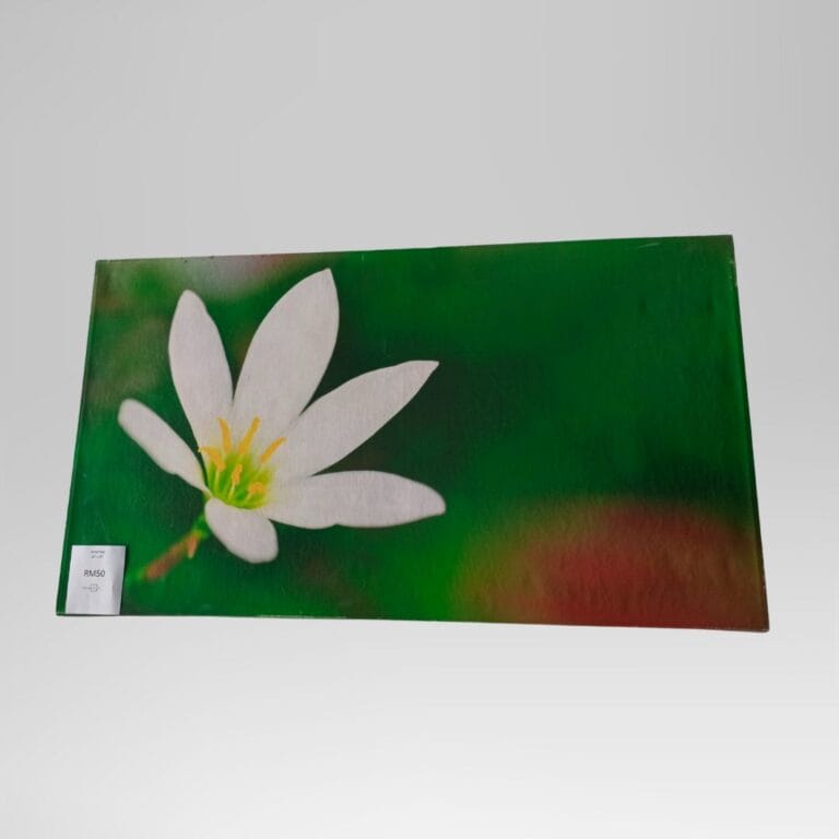Wall Poster (Medium) 2